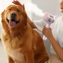 Cepillo de Vapor 3 en 1 para Mascotas